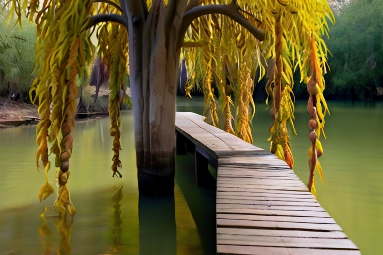 El delta del Rio
